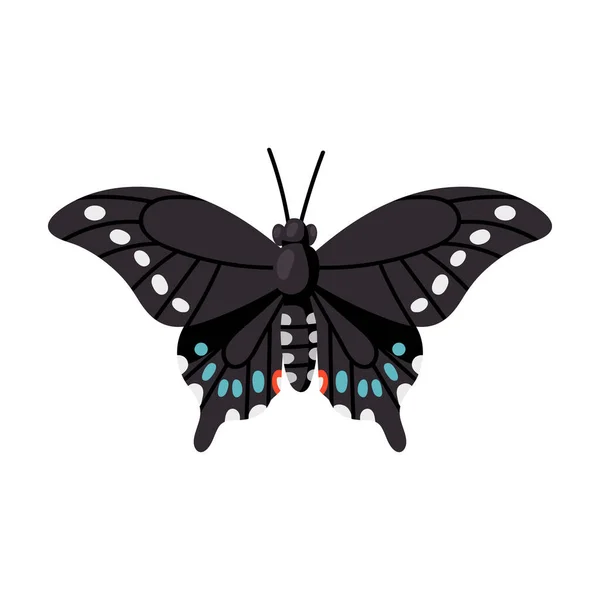 Icono de vector de mariposa. Icono de vector de dibujos animados aislado en fondo blanco mariposa  . — Vector de stock