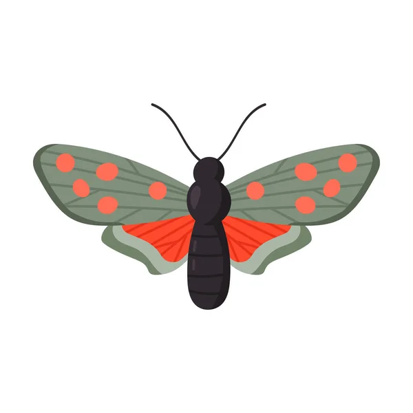 Schmetterling Vektor icon.cartoon Vektor-Symbol isoliert auf weißem Hintergrund Schmetterling . — Stockvektor