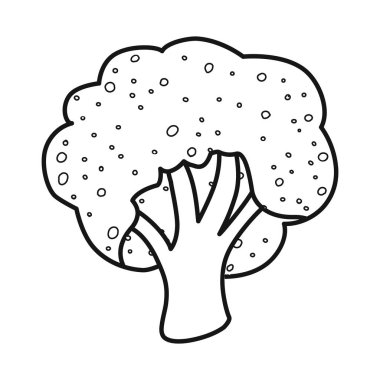 İzole edilmiş brokoli ve sebze sembolü. Brokoli seti ve yeşil hisse senedi çizimi.