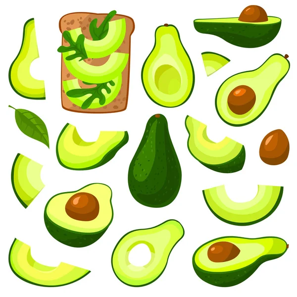 Avocado isolated cartoon set icon. Vector illustration fruit on white background. Vector cartoon set icon avocado. — Stock Vector