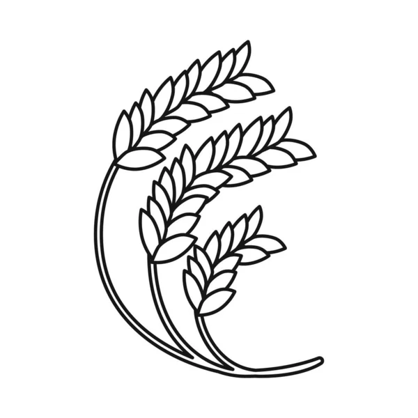 Vektorový design pšenice a zemědělského symbolu. Sada ikon vektoru pšenice a produktu na skladě. — Stockový vektor