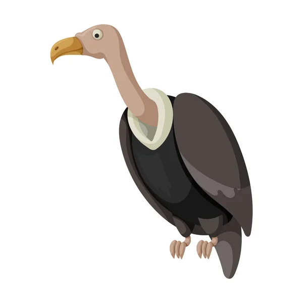 Vulture vogel vector icon.Cartoon vector pictogram geïsoleerd op witte achtergrond gier vogel. — Stockvector