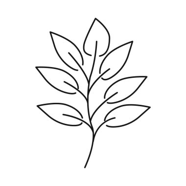 Yaprak ve kahve logosu izole edilmiş. Stok için yaprak ve bitki vektörü simgesi kümesi.