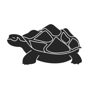 Deniz kaplumbağası vektör simgesi. Siyah vektör simgesi beyaz arkaplan deniz kaplumbağasında izole edilmiş..