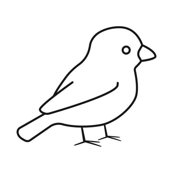 Boğa ispinozu ve kuş ikonunun vektör çizimi. Stok için ispinoz ve Robin vektör simgesi kümesi. — Stok Vektör