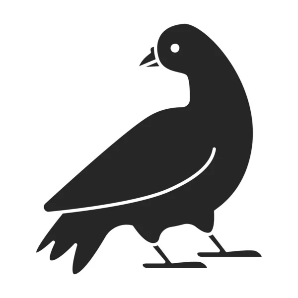 Gołąb wektor ikona.czarny wektor ikona izolowane na białym tle gołębia. — Wektor stockowy
