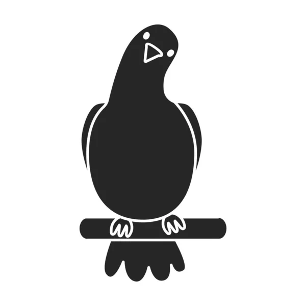 Icône vectorielle pigeon icône vectorielle noire isolée sur fond blanc pigeon . — Image vectorielle