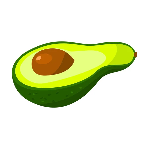 Half avocado vector icon.Cartoon vector pictogram geïsoleerd op witte achtergrond half avocado. — Stockvector