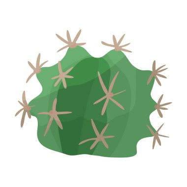 Kaktüs vektör simgesi. Beyaz arkaplan kaktüsünde izole edilmiş çizgi film vektör simgesi. .