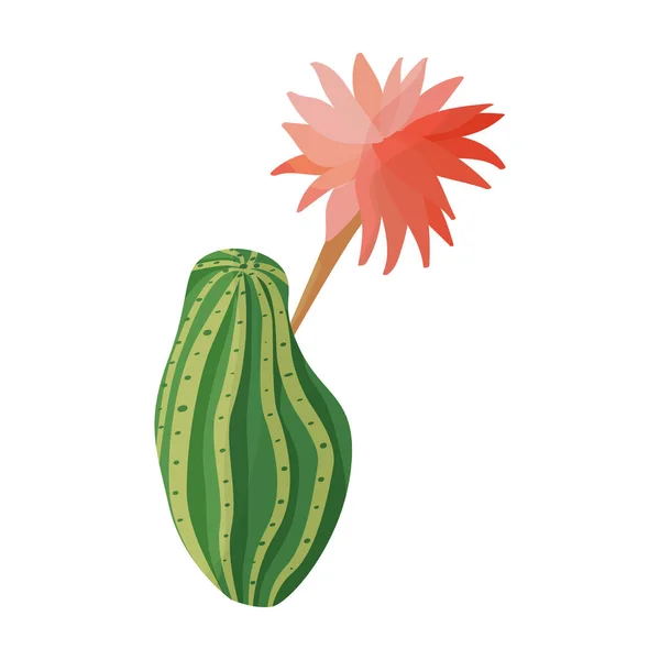 Kaktus ikony wektora kwiatu.Ikona wektora kreskówki izolowane na białym tle kaktusa kwiat. — Wektor stockowy