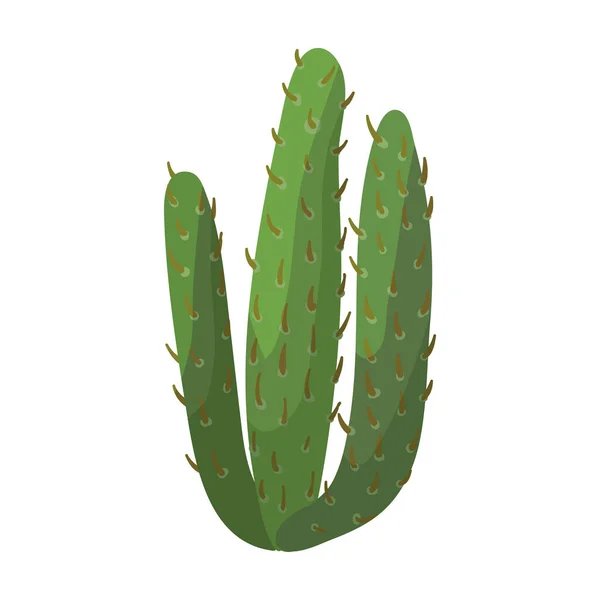 Icono de vector de cactus. Icono de vector de dibujos animados aislado en cactus de fondo blanco . — Vector de stock