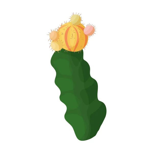 Cactus de fleur vecteur icon.Cartoon icône vectorielle isolé sur fond blanc cactus de fleur . — Image vectorielle