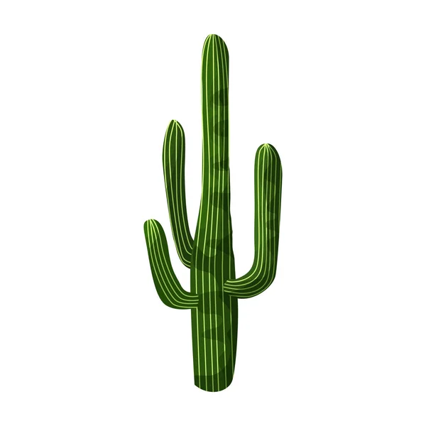 Icona vettoriale del cactus. Icona vettoriale del fumetto isolata su cactus di sfondo bianco . — Vettoriale Stock