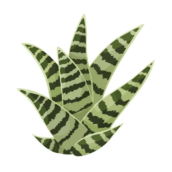 Kaktusz vektor ikon.Rajzfilm vektor ikon elszigetelt fehér háttér kaktusz . — Stock Vector
