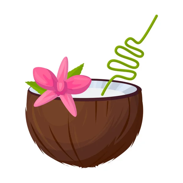 Cocktail d'icône vectorielle de noix de coco. Icône vectorielle de bande dessinée isolée sur fond blanc cocktail de noix de coco . — Image vectorielle