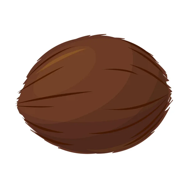 Coconut Vektor icon.Cartoon Vektor Symbol isoliert auf weißem Hintergrund Kokosnuss. — Stockvektor