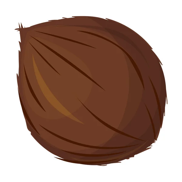 Coconut Vektor icon.Cartoon Vektor Symbol isoliert auf weißem Hintergrund Kokosnuss. — Stockvektor
