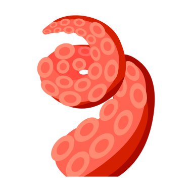 Ahtapot vektör simgesi. Çizgi film vektör simgesi beyaz arkaplan ahtapotunda izole edildi.