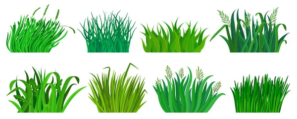 Значок вектора зеленой травы. Isolated cartoon set icon lawn. Векторная иллюстрация зеленая трава на белом фоне . — стоковый вектор