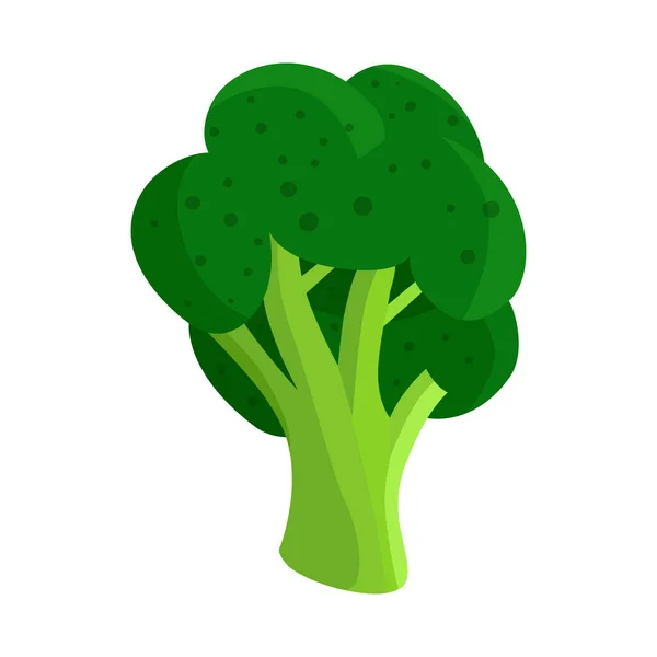 Ilustração vetorial de brócolis e símbolo doodle. Coleta de brócolis e ilustração vetorial de salada . — Vetor de Stock