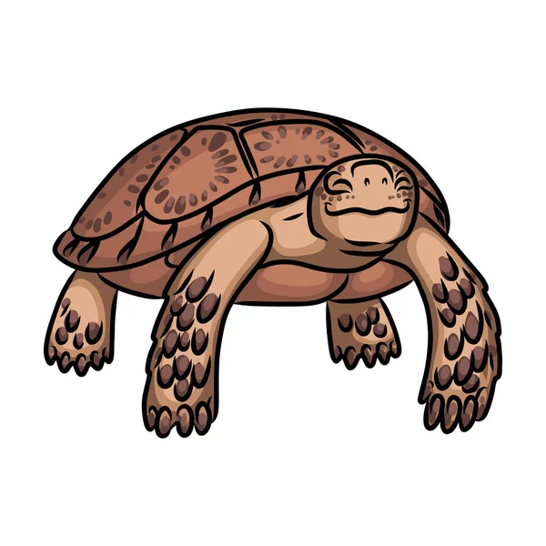 Icono de vector de tortuga. Icono de vector de dibujos animados aislado en tortuga de fondo blanco. — Vector de stock