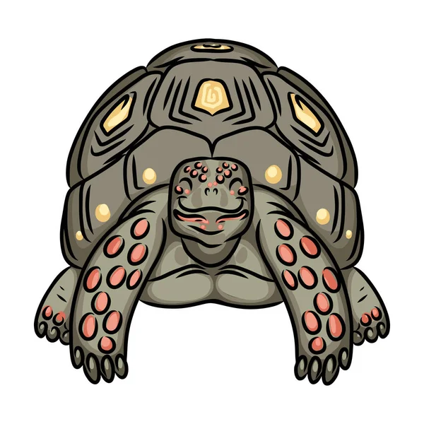 Icono de vector de tortuga. Icono de vector de dibujos animados aislado en tortuga de fondo blanco. — Archivo Imágenes Vectoriales