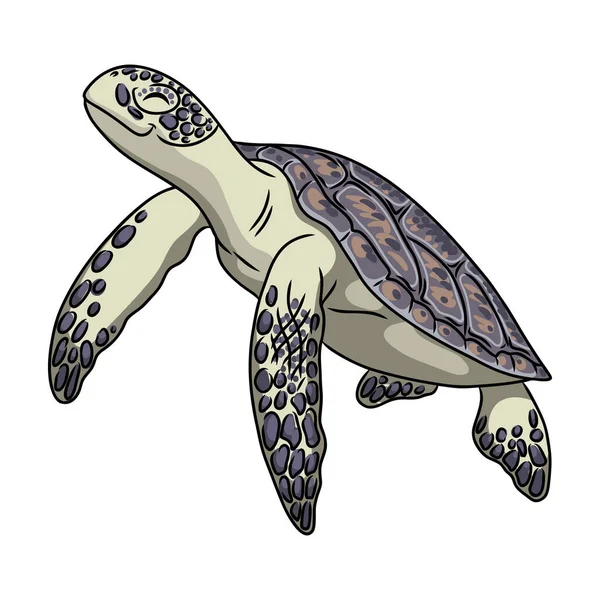Ikona vektoru želvy.Ikona vektoru karikatury izolované na bílém pozadí želvy. — Stockový vektor