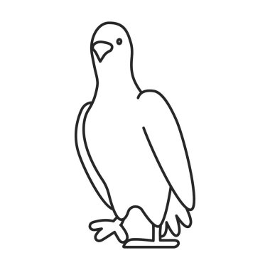 Barış vektör ikonunun güvercini. Taslak vektör simgesi beyaz arka plan güvercininde izole edildi.