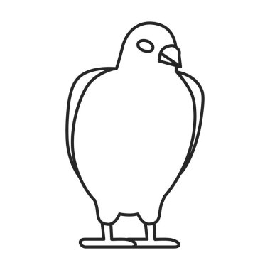 Güvercin vektör simgesi. Taslak vektör simgesi beyaz arkaplan güvercininde izole edildi.