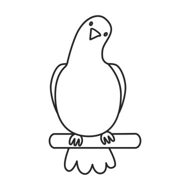 Güvercin vektör simgesi. Taslak vektör simgesi beyaz arkaplan güvercininde izole edildi.