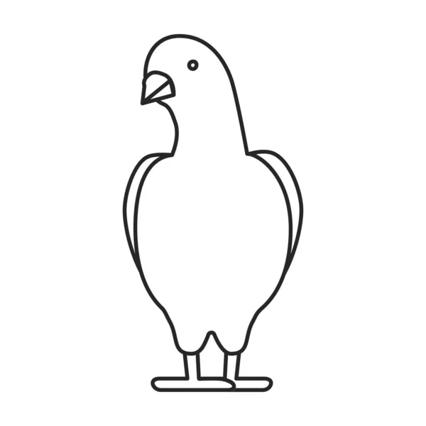 Icono de vector de paloma. Icono de vector de contorno aislado en paloma de fondo blanco . — Vector de stock