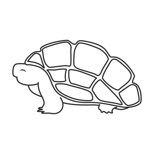Векторный значок морской черепахи. Набросок вектора на белом фоне морской черепахи . — стоковый вектор