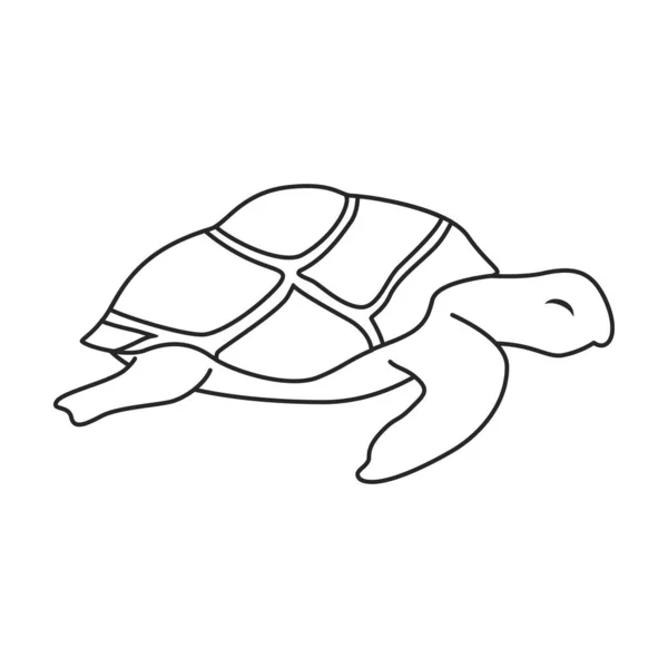 Ikona wektora żółwia morskiego.Ikona wektora zarysu izolowana na białym tle żółwia morskiego. — Wektor stockowy