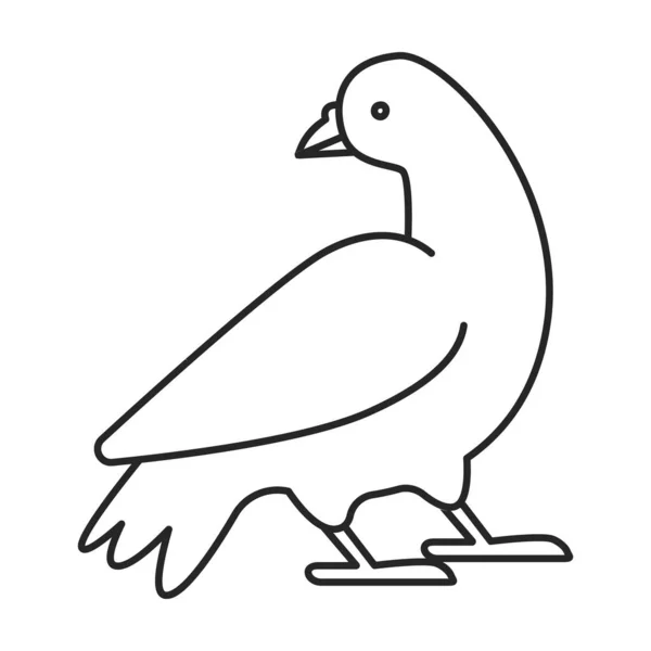 Paloma de la paz vector icon.Outline icono vectorial aislado sobre fondo blanco paloma de la paz . — Vector de stock