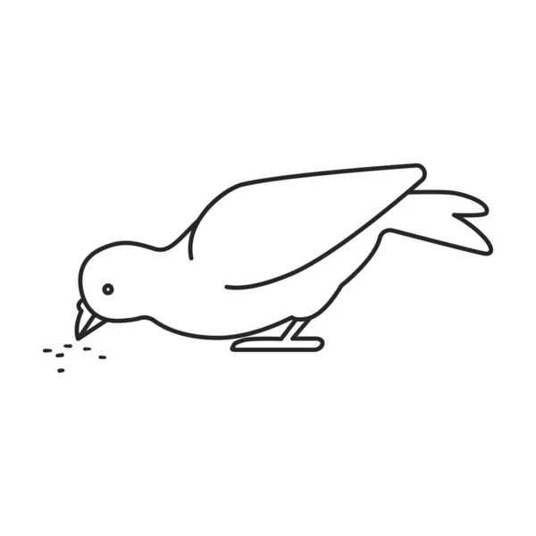 Ícone vetorial do pombo. Ícone vetorial do contorno isolado no pombo de fundo branco . — Vetor de Stock