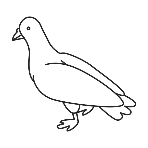 Pigeon vector icon.Outline vector icon isolated on white background pigeon. — Stock Vector