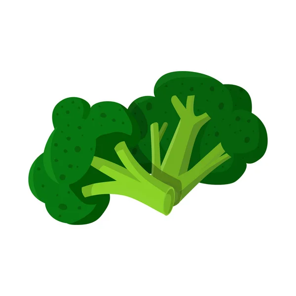 Odizolowany obiekt z logo brokułów i kapusty. Kolekcja brokułów i ilustracji wektora zasobów bazgrołów. — Wektor stockowy
