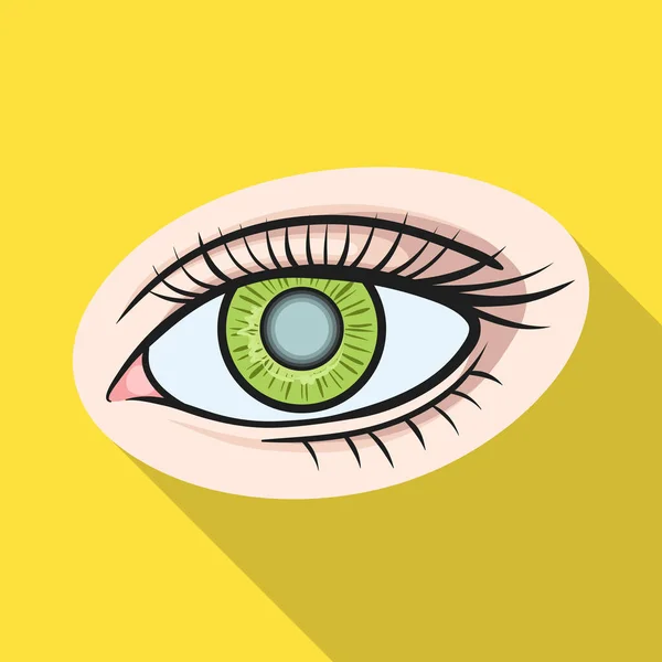 Objeto aislado del ojo y el icono de la vista. Elemento web de la ilustración de vectores oculares y de diagnóstico . — Vector de stock