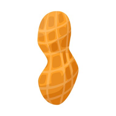 Fıstık ve kabuk işaretinin vektör tasarımı. Fıstık ve kapsül vektör illüstrasyonu koleksiyonu.