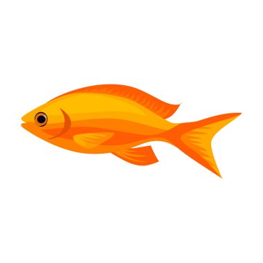 Tropikal balık vektör simgesi. Çizgi film vektör simgesi beyaz arka planda izole edilmiş tropikal balıklar.