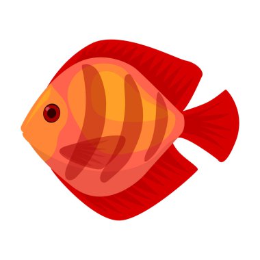 Tropikal balık vektör simgesi. Çizgi film vektör simgesi beyaz arka planda izole edilmiş tropikal balıklar.