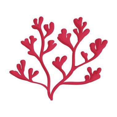 Deniz yosunu vektör simgesi. Karikatür vektör simgesi beyaz arkaplan yosununda izole edildi.