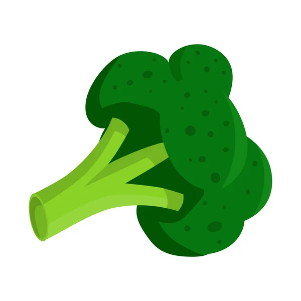 Objeto isolado de brócolis e logotipo de repolho. Conjunto de brócolos e ilustração vetorial verde . —  Vetores de Stock