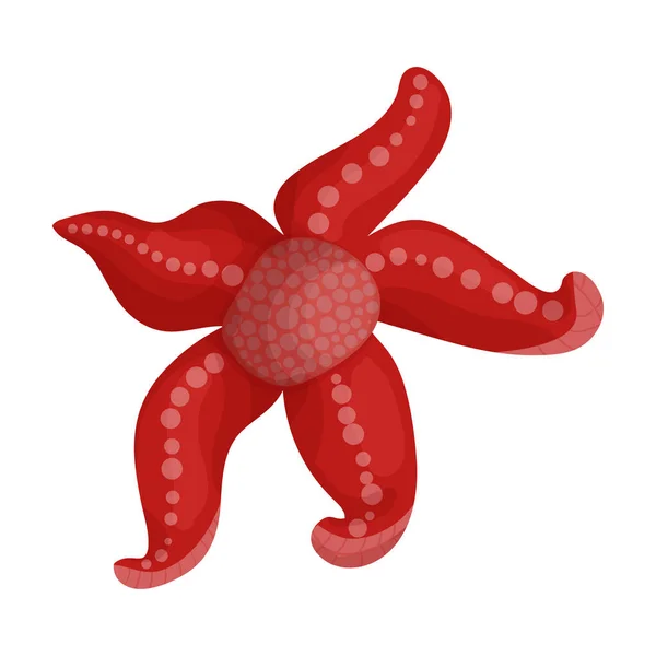 Starfish vector icon.Cartoon vector icon 은 흰색 배경 불가사리에 분리되어 있다.. — 스톡 벡터