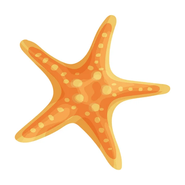 Иконка вектора морской звезды. Иконка вектора карикатуры выделена на белом фоне морской звезды . — стоковый вектор