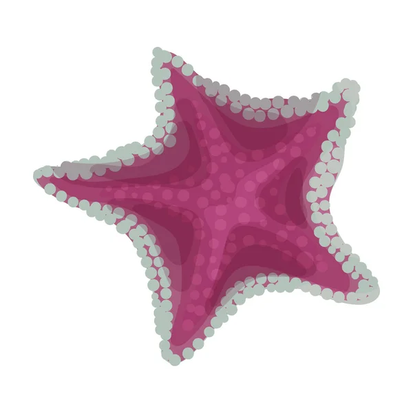 Icono de vector estrella de mar. Icono de vector de dibujos animados aislado sobre fondo blanco estrella de mar . — Vector de stock