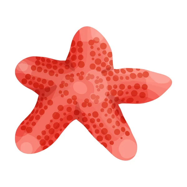 Ícone vetorial de estrela do peixe.Ícone vetorial de desenhos animados isolado no fundo branco estrela do mar . —  Vetores de Stock