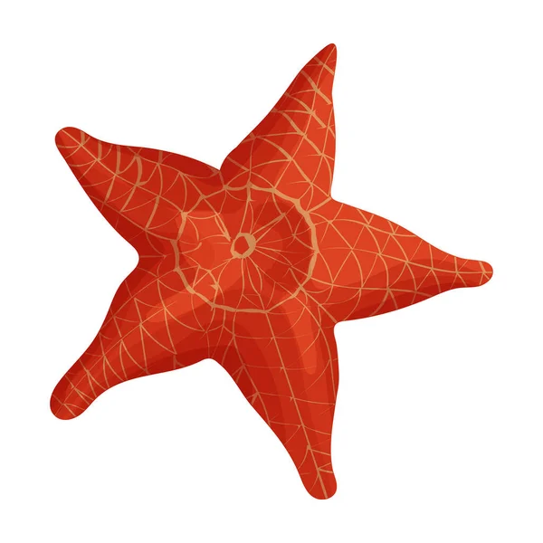 Starfish vector icon.Cartoon vector icon isolated on white background starfish. — Stock Vector