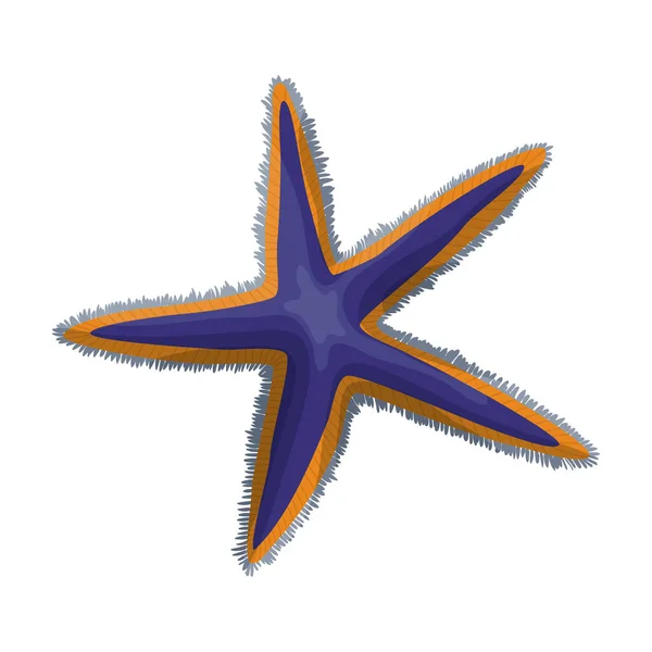 Starfish vector icon.Cartoon vector icon isolated on white background starfish. — Stock Vector