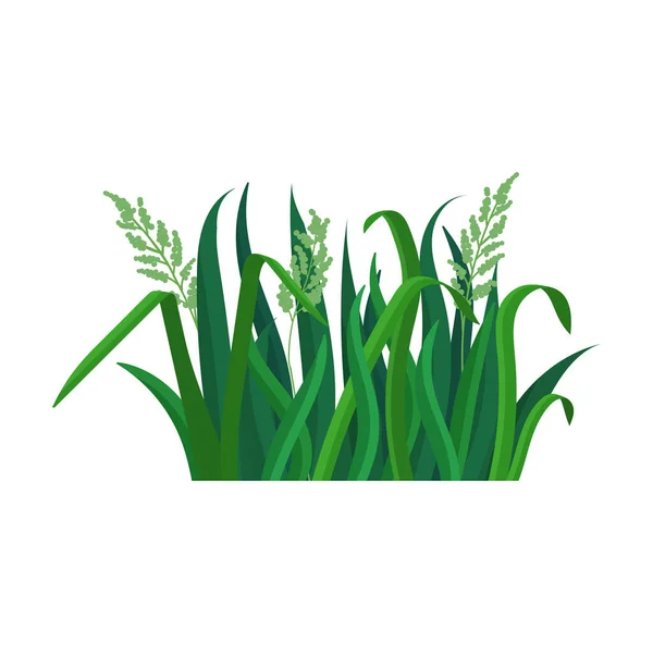 Green grass vector icon.Cartoon vector icon isolated on white background green grass. — Stock Vector